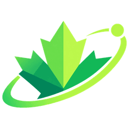 MapleOrbit Solutions